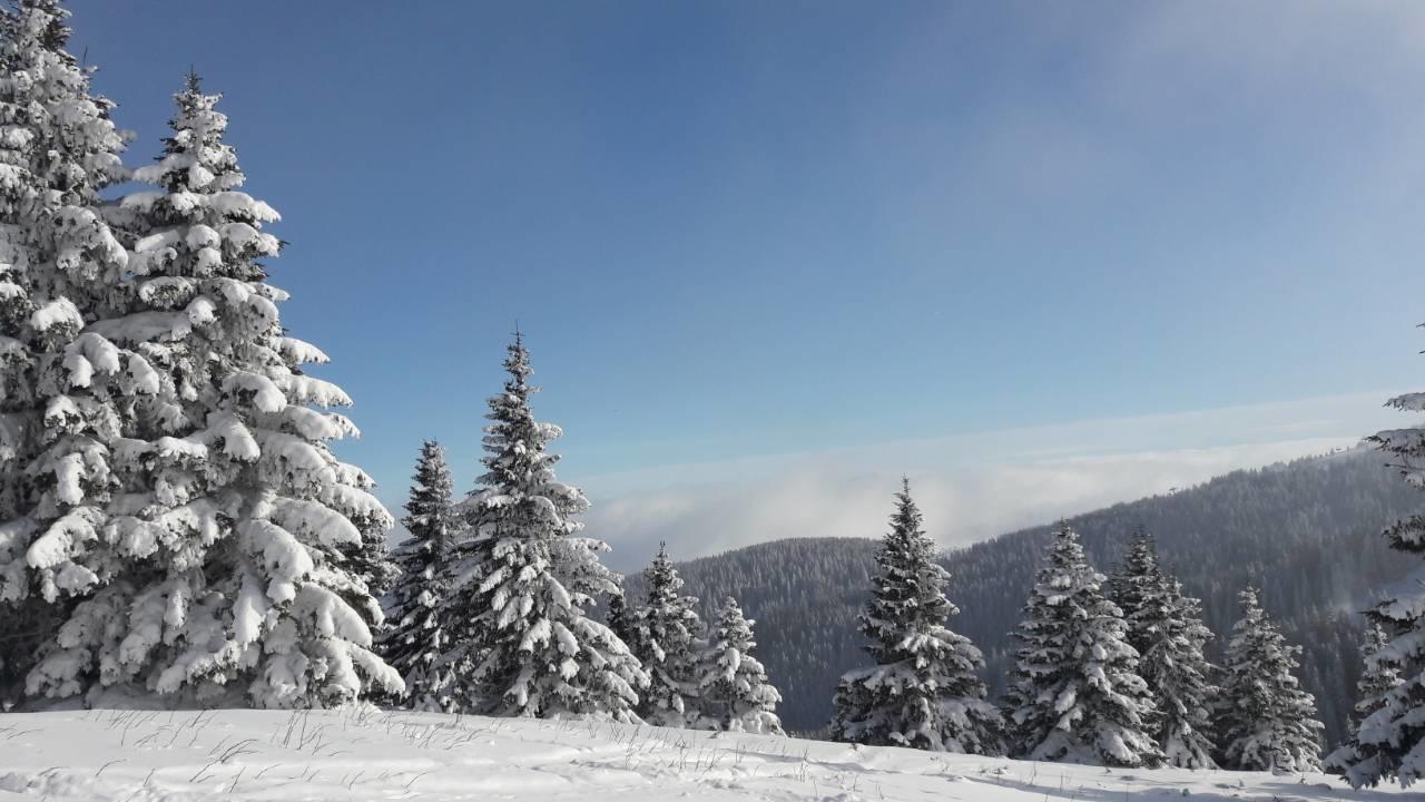 Lux Apartman B1 Milmari Kopaonik Exterior photo